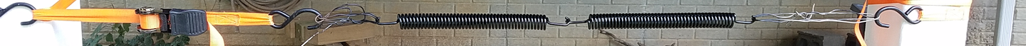PaintFrontTrunkSpringsStretced
