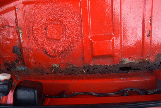 Trunk2